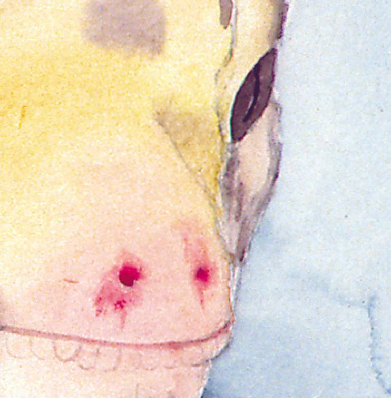 Original Expressionism Animal Painting by Eva Hill