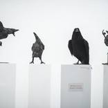 Collective consciousness by Nenad Milovanovic