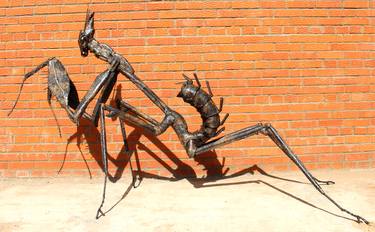 Metal Art Sculpture "Mantis" thumb