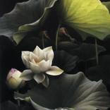Vita in secreto by Art Vorden
