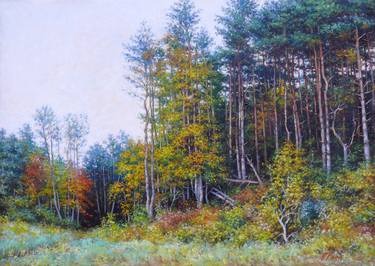 Original Landscape Paintings by Petr Parkhimovitch