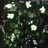 'Orange Blossom'. Flower Painting by Samantha Barnes