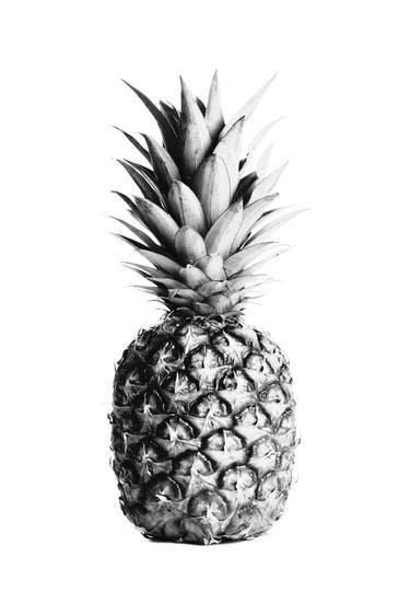 Pineapple in Black and White thumb
