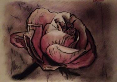 Original Figurative Floral Drawing by Erica Sclavi