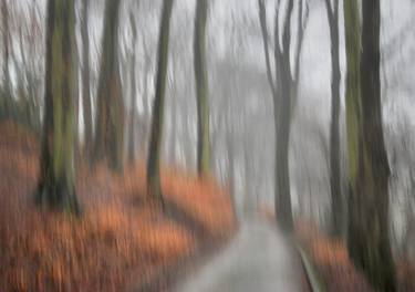 woodland road in winter - Limited Edition 1 of 10 thumb