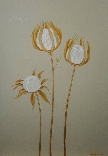 Print of Fine Art Floral Drawings by Tatiana Vezeleva