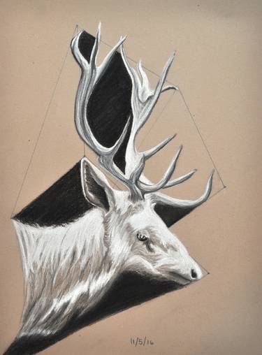 Print of Figurative Animal Drawings by Catherine Koblinsky