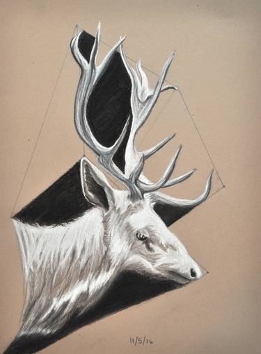 Original Figurative Animal Drawings by Catherine Koblinsky