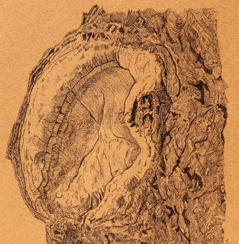 Original Realism Botanic Drawing by Eduardo Ripoll
