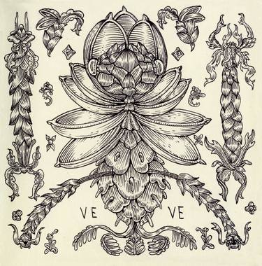 Original Botanic Drawing by Ave Libertatemaveamor
