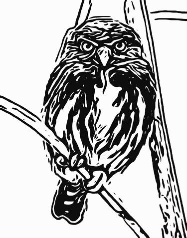 Owl Line Drawing Ann Lane thumb