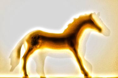 The gold glowing horse shadow - Limited Edition 1 of 10 thumb