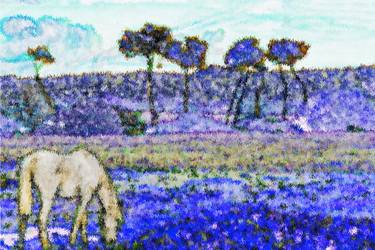 Original Impressionism Horse Photography by Vas Sarisi