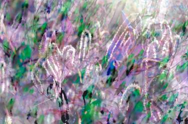 Original Abstract Expressionism Botanic Photography by Daniel Freed