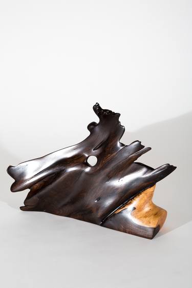 Sculpture · Tropical Foundwood · S1083 thumb