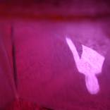 Collection SOLO EXHIBITION PAINTINGS