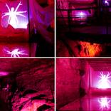 Collection  EXHIBITION PARASITE BEACH