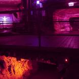 Collection  EXHIBITION PARASITE BEACH