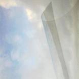 Collection CURVED LINES PAINTINGS