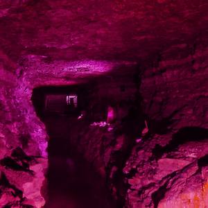 Collection  EXHIBITION PARASITE BEACH