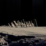 Collection Exhibition SHINING SHIFT-NYC, US, Central Park