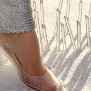 Collection Exhibition SHINING SHIFT-NYC, US, Central Park