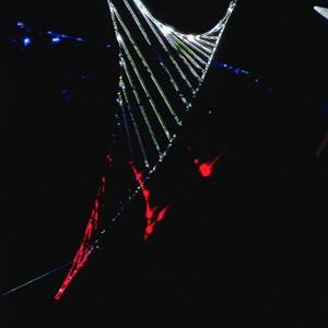 Collection EXHIBITION SECRET EYE