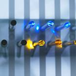 Collection  EXHIBITION REACTIVE RIVER