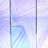 Collection acrylic paintings FUN FLOWERS