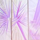 Collection acrylic paintings FUN FLOWERS