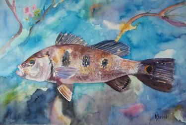 Original Fish Paintings by Zoran Mihajlovic