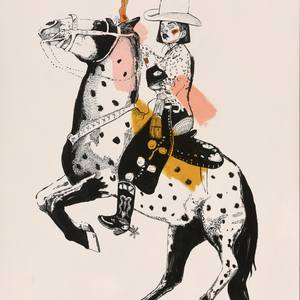 Collection Wild Wild West