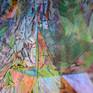 detail (close-up artwork) art by NMA