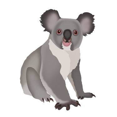 Koala Bear thumb