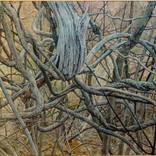 Entanglements by James Sparks