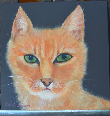 3 animal portrets: Ginger Cat thumb