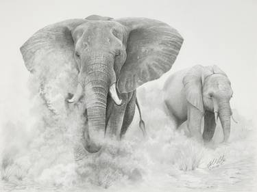 Elephants in the Dust thumb