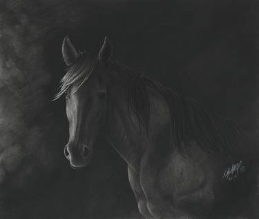 Print of Realism Horse Drawings by Stephen McCall