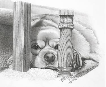 Print of Dogs Drawings by Stephen McCall