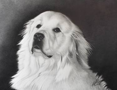 Print of Realism Dogs Drawings by Stephen McCall