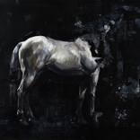 Horse by Elia Bonetti