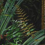 Harakeke a Paraharaha by Alii Scott