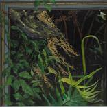 Paraharaha - Fern by Alii Scott