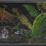 Miromiro nest by Alii Scott