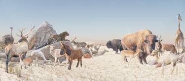Original Contemporary Animal Photography by Bin Yang