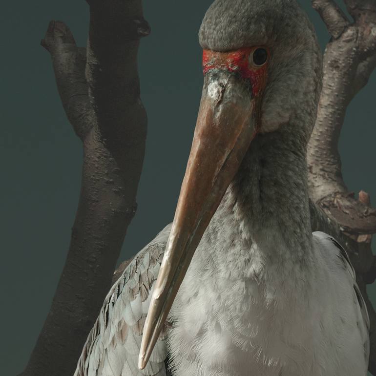Original Fine Art Animal Photography by Bin Yang