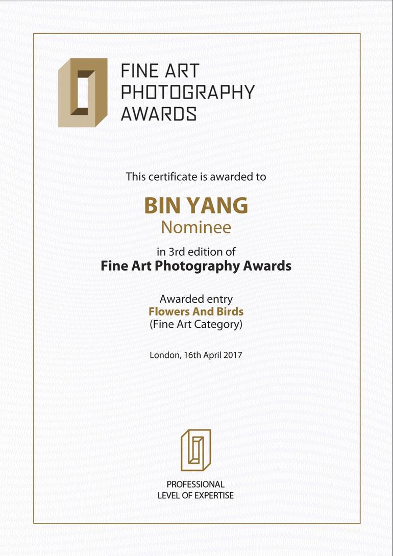 Original Fine Art Animal Photography by Bin Yang