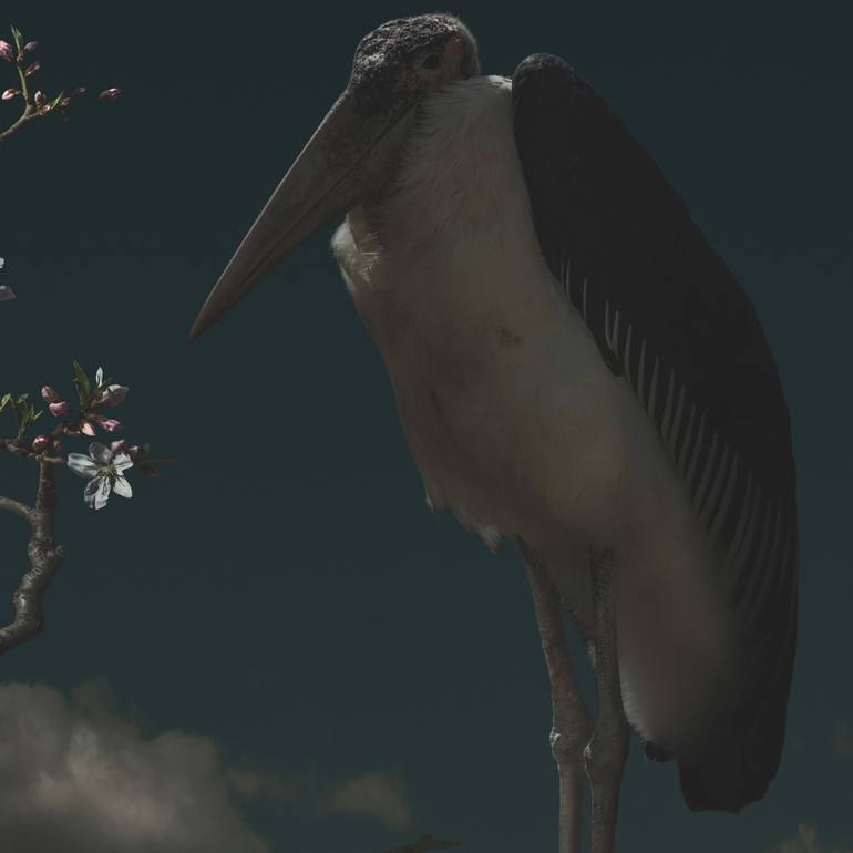 Original Fine Art Animal Photography by Bin Yang