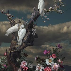 Collection Curator Picks: The Other Art Fair Brooklyn Fall 2025