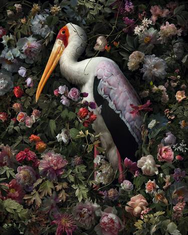 Yellow billed Stork in Flower thumb